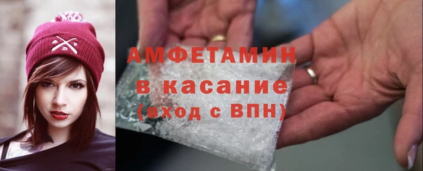 шишки Саяногорск