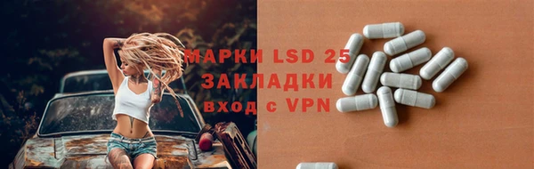 ГАЛЛЮЦИНОГЕННЫЕ ГРИБЫ Алзамай