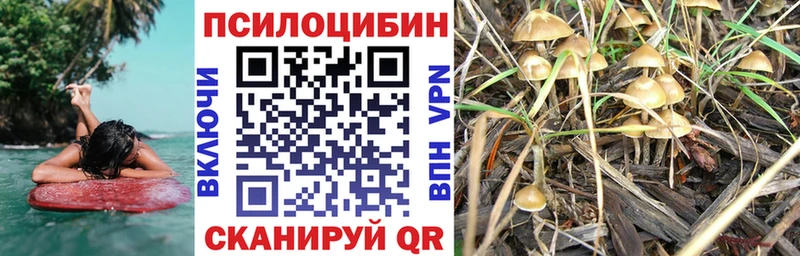 продажа наркотиков  Белореченск  Псилоцибиновые грибы Cubensis 